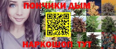 индика Аша