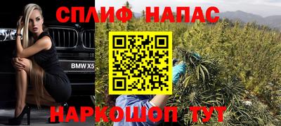 индика Аша